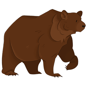 QWalking bear300